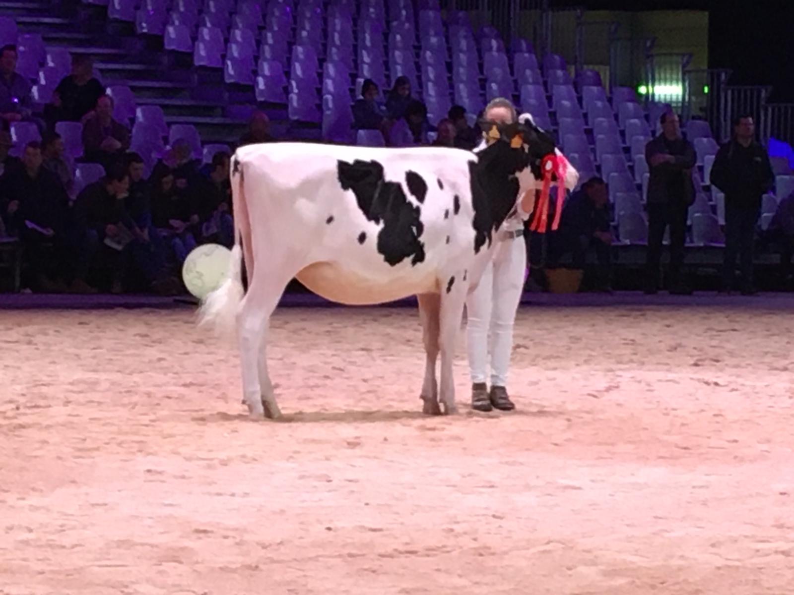 Swiss Expo Sidekick