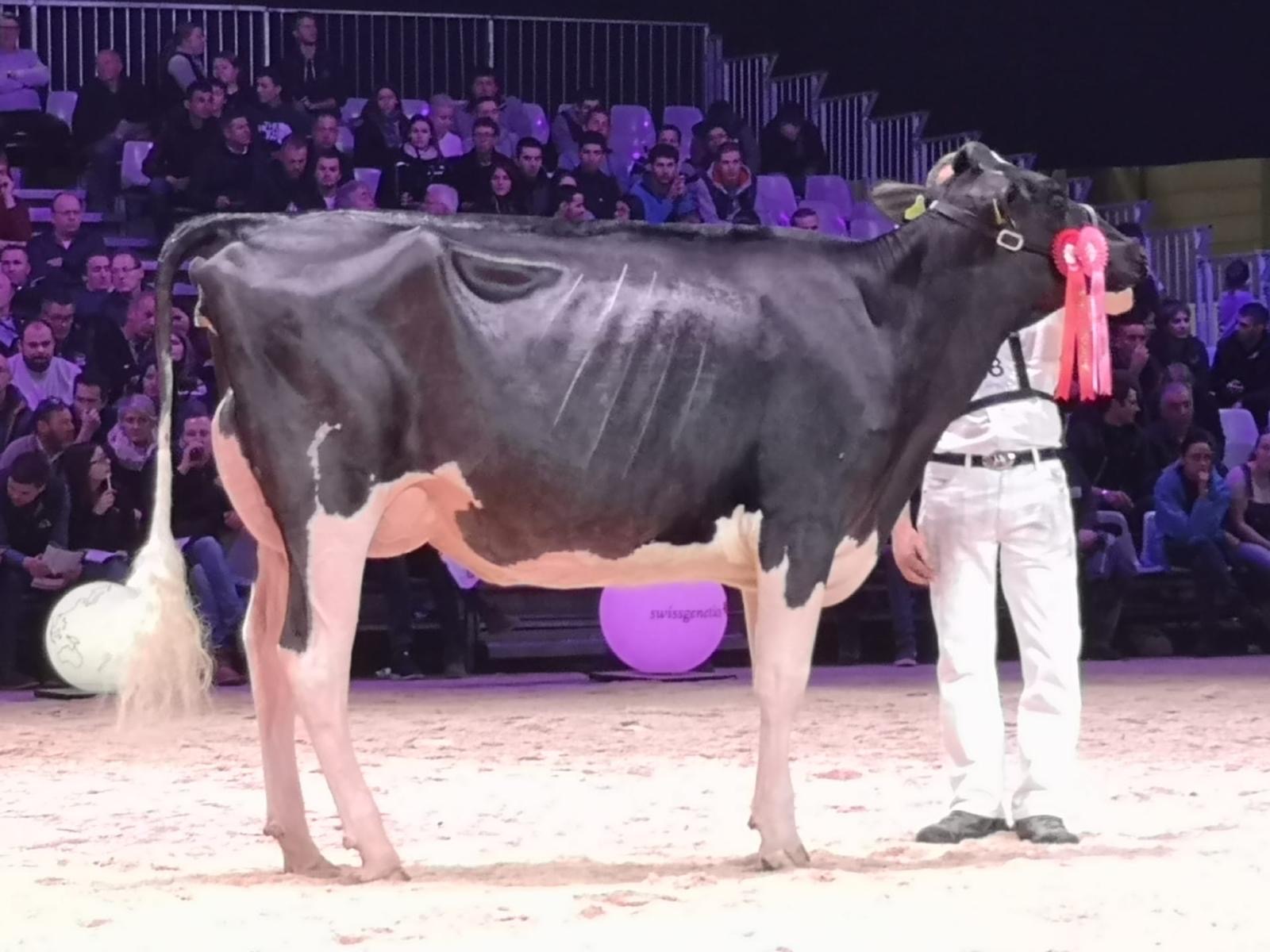 Swiss Expo Unix
