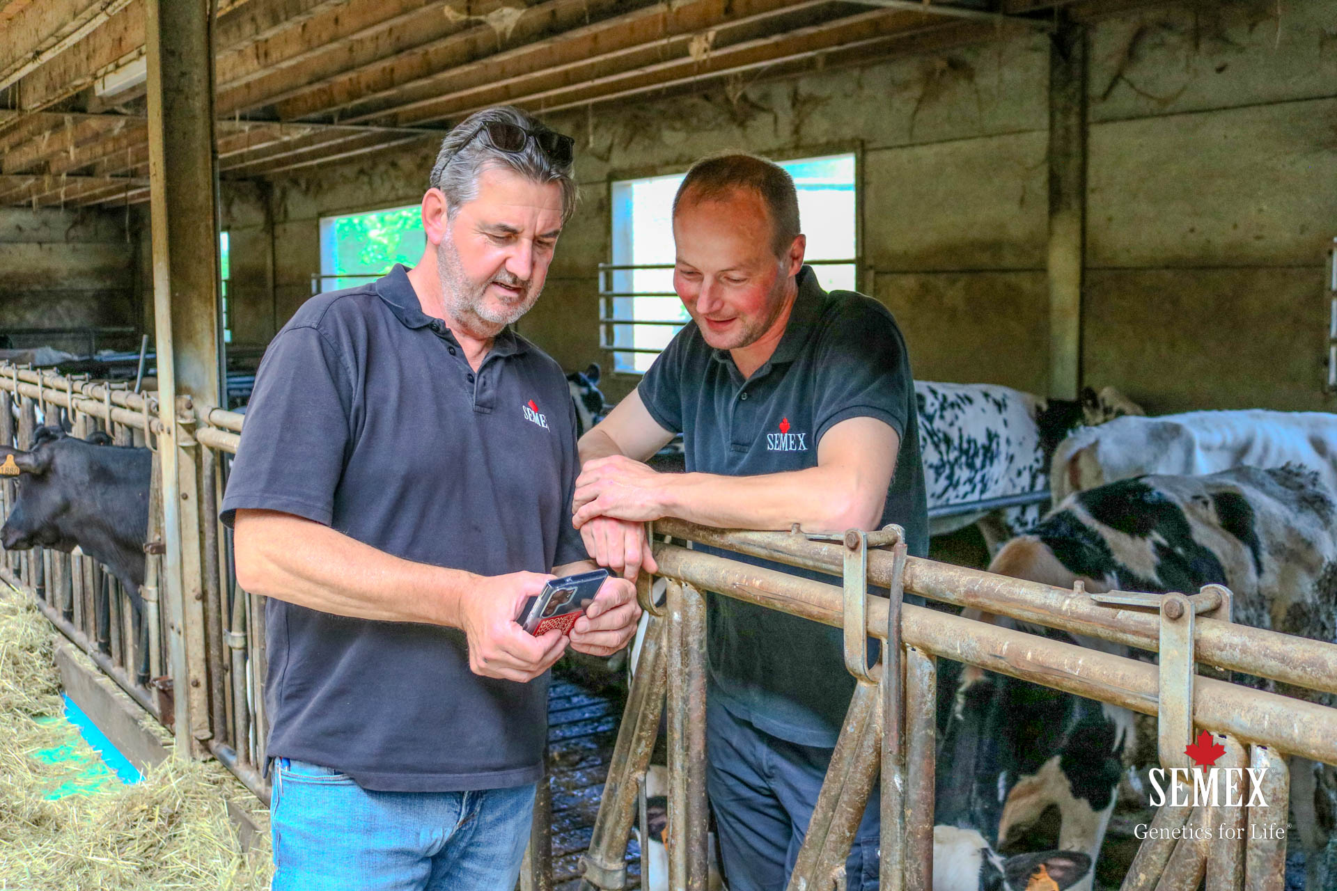 Vacature accountmanagers stal