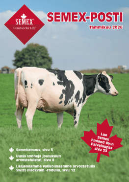 SemexPosti_tammi26