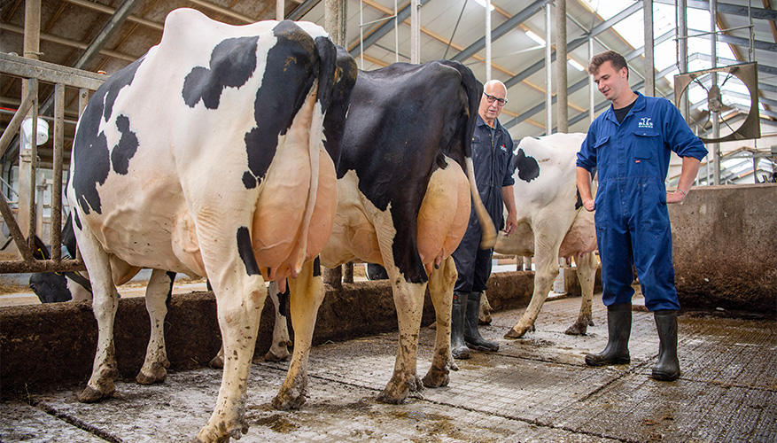 Bles Dairies Farm