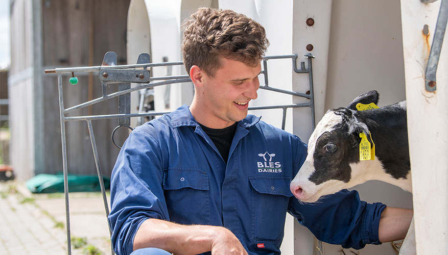 Bles Dairies Farm