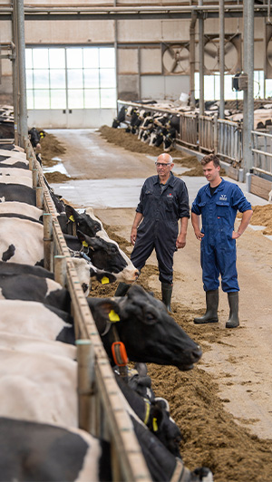 Bles Dairies Farm