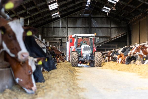 Wiechers landbouw