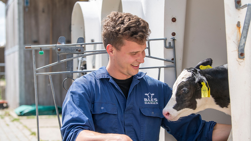Bles Dairies Farm
