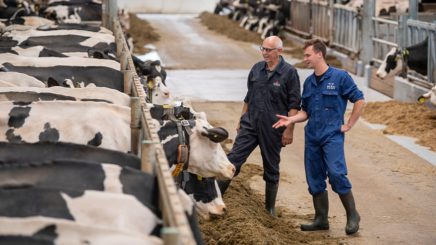 Bles Dairies Farm