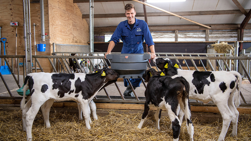 Bles Dairies Farm