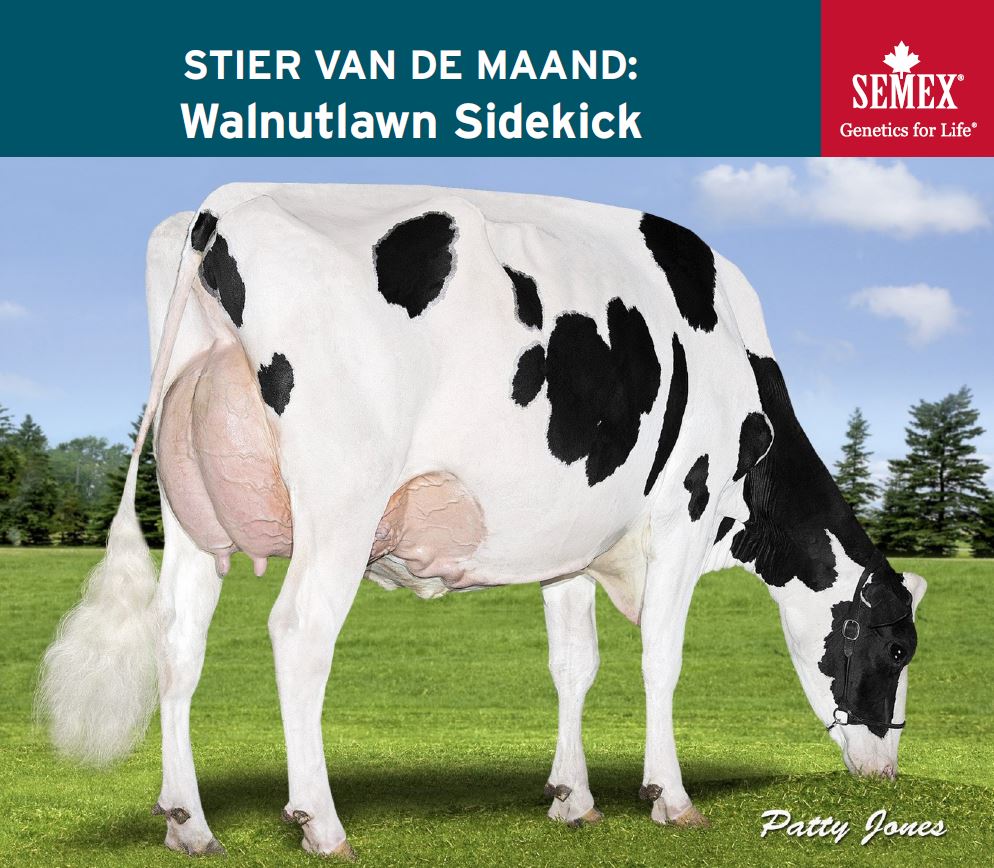 Semex | Nieuws