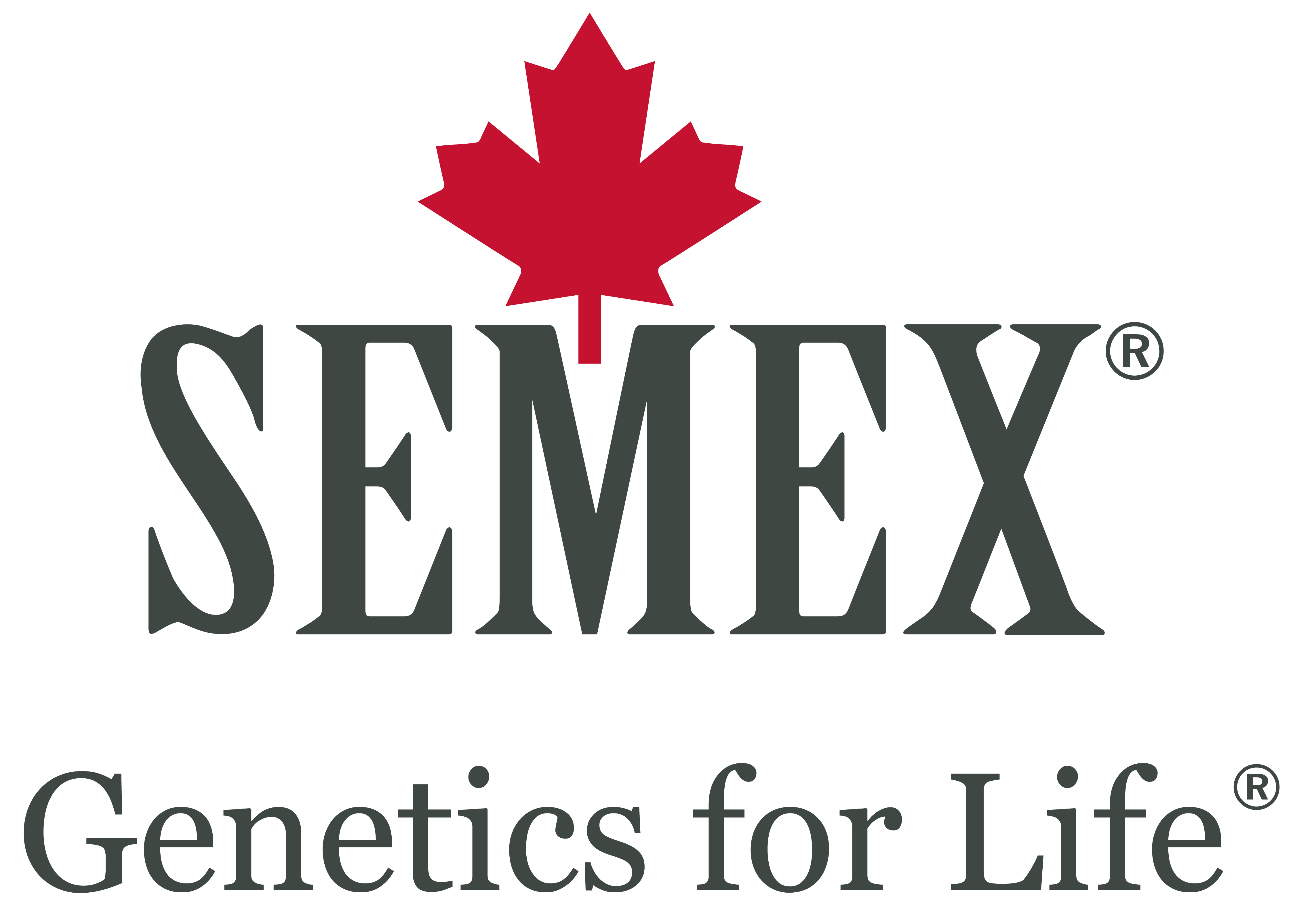 Semex | News