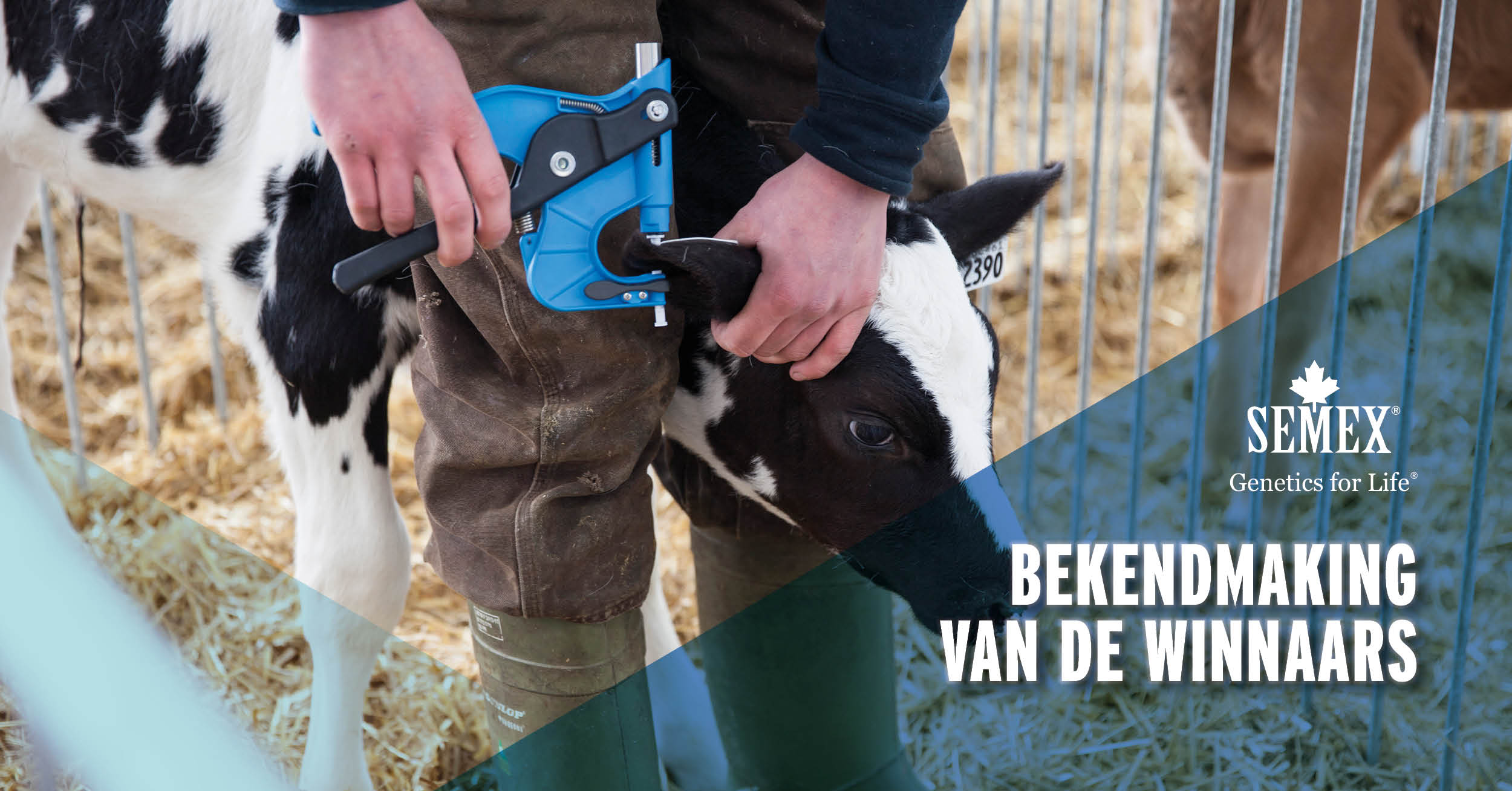 Semex | Nieuws
