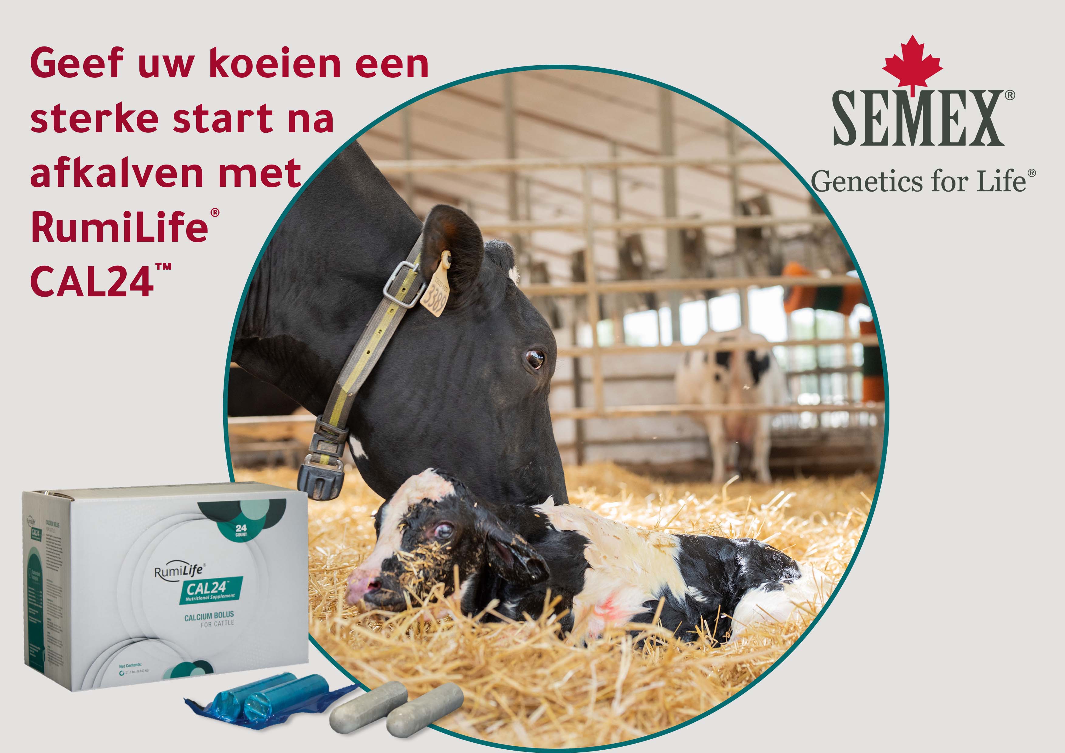 Semex | Nieuws