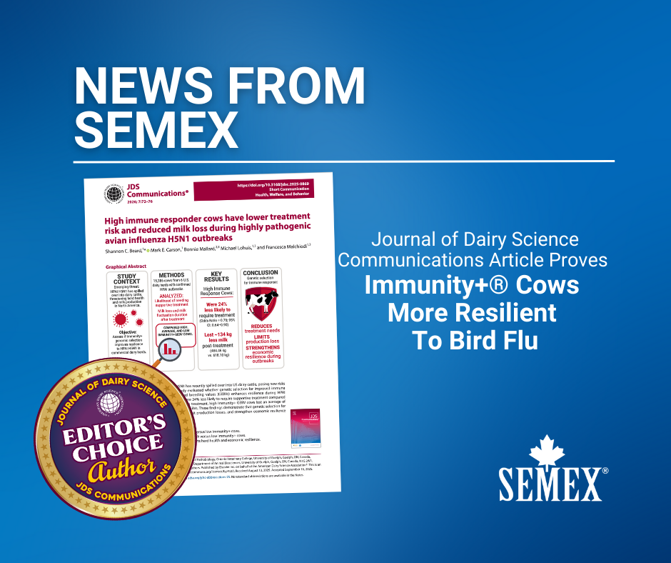 Semex Semex | News