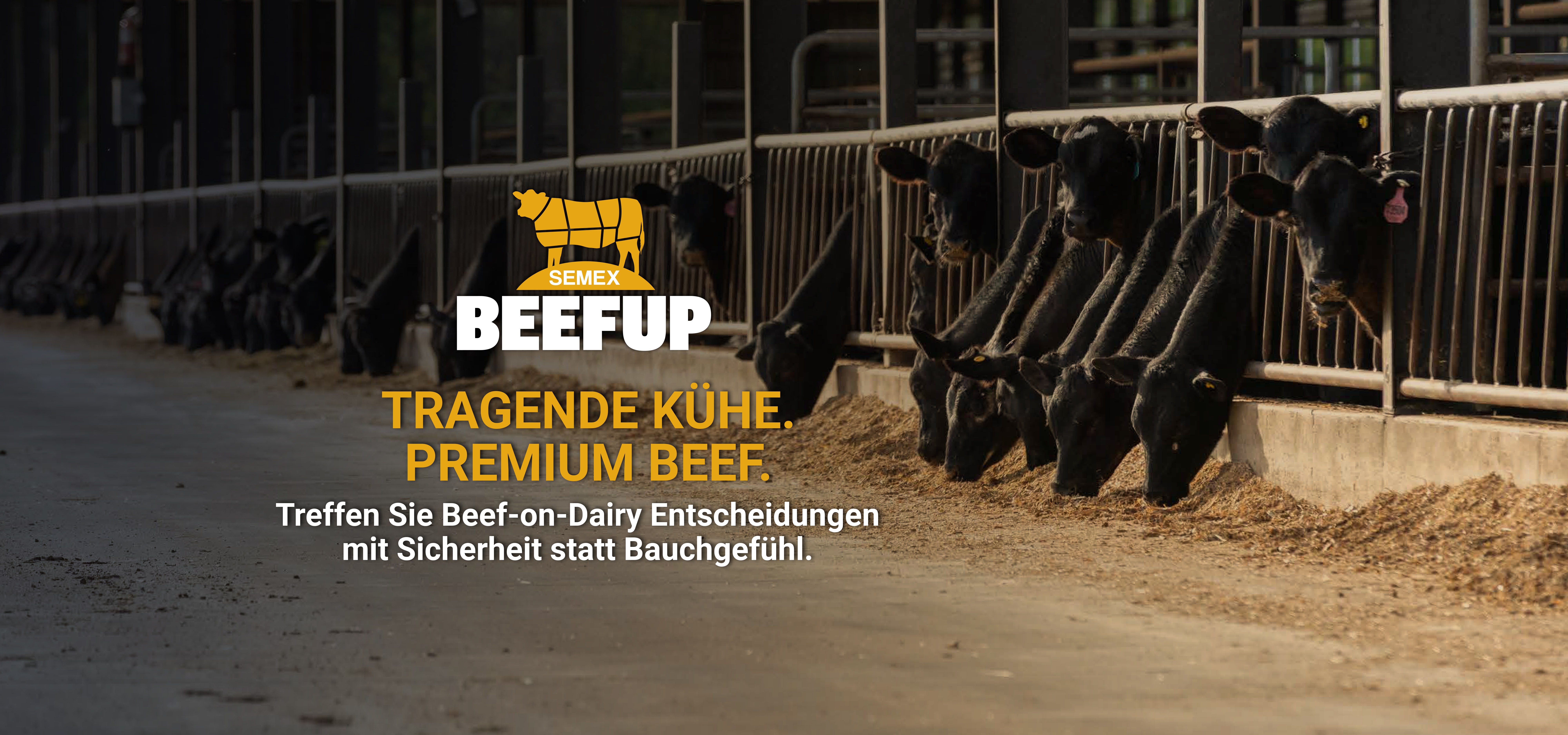 2026BEEFUP_webbannerGEr.jpg