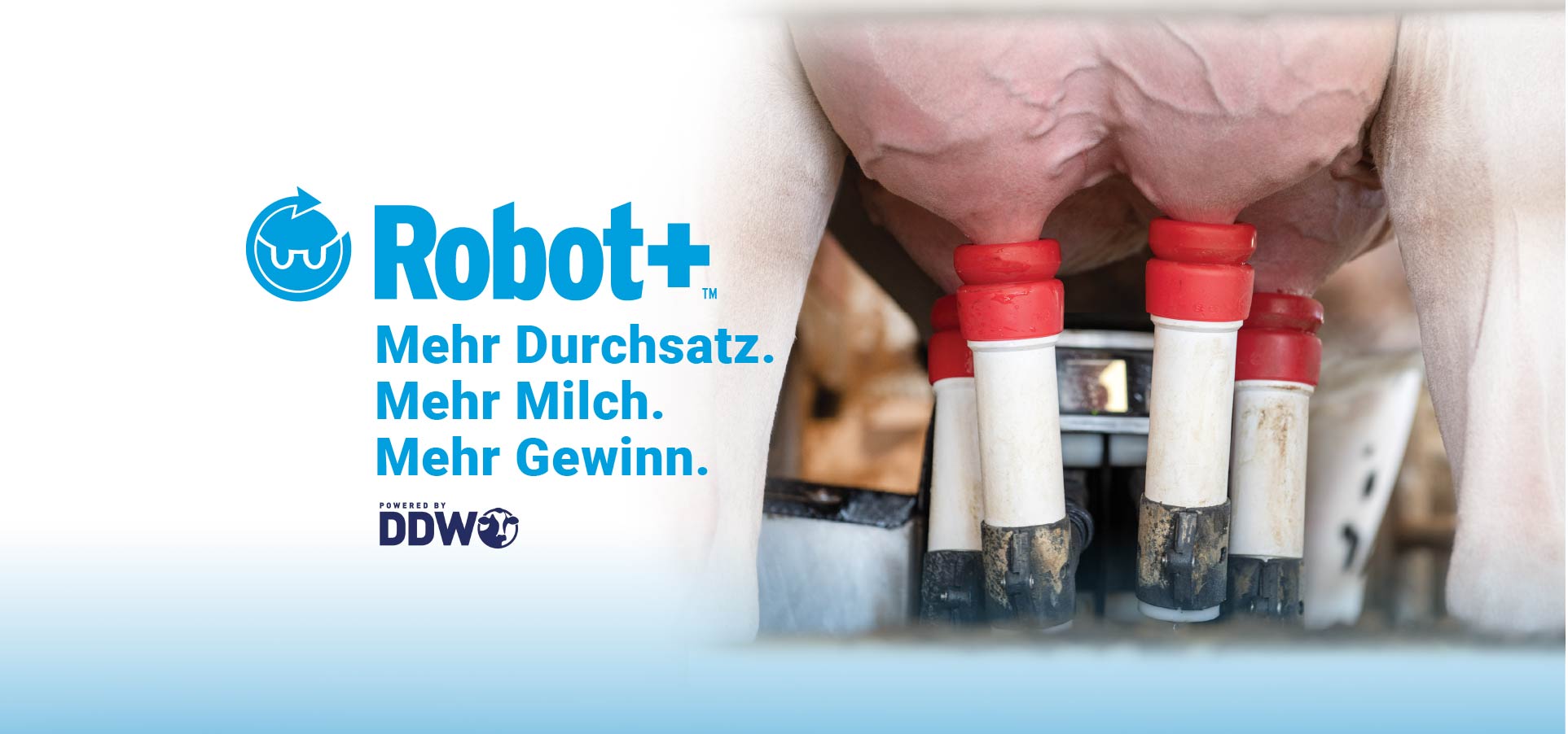 Robot+_webbannerENG.jpg