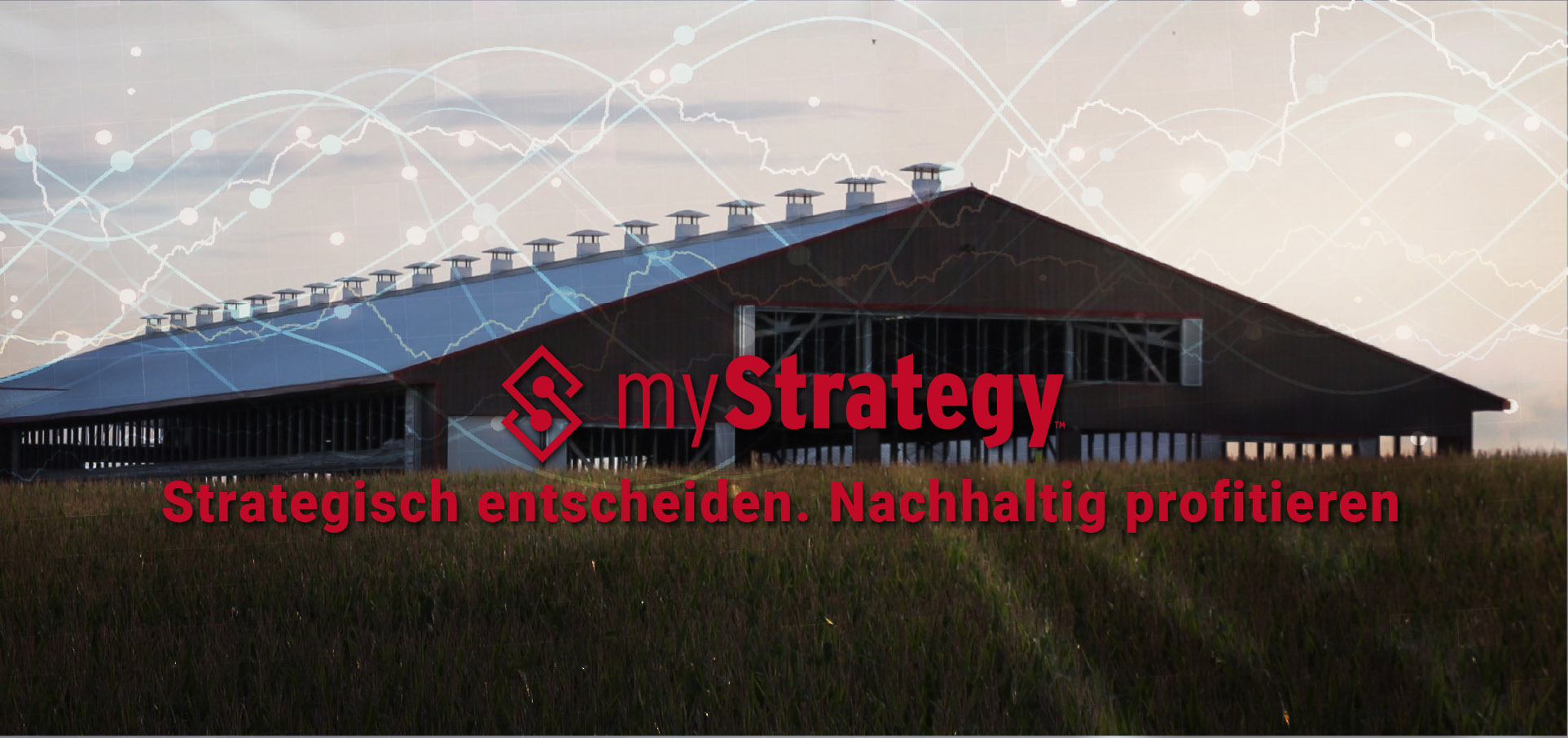 myStrategy_webbannerDEKopie.jpg