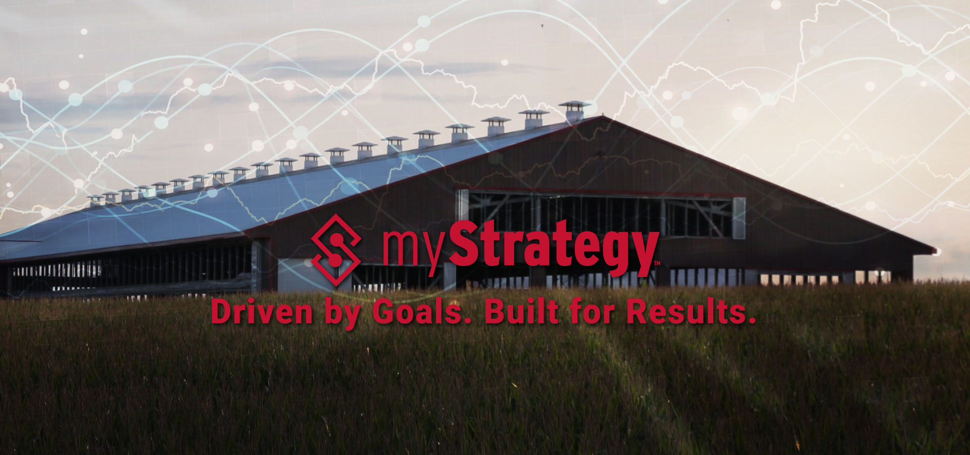 myStrategy_webbannerENG.jpg