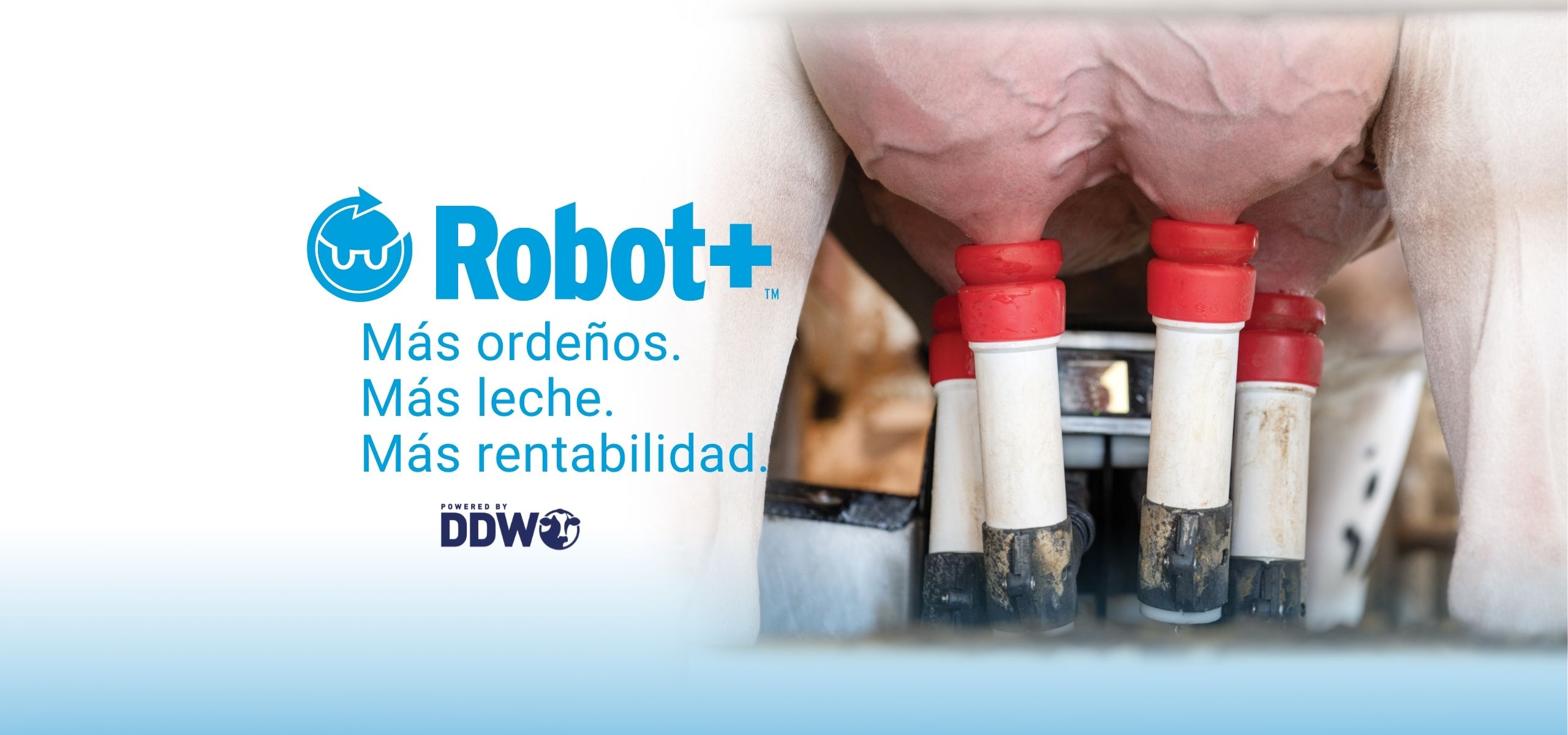 Robot+_webbannerSP.jpg