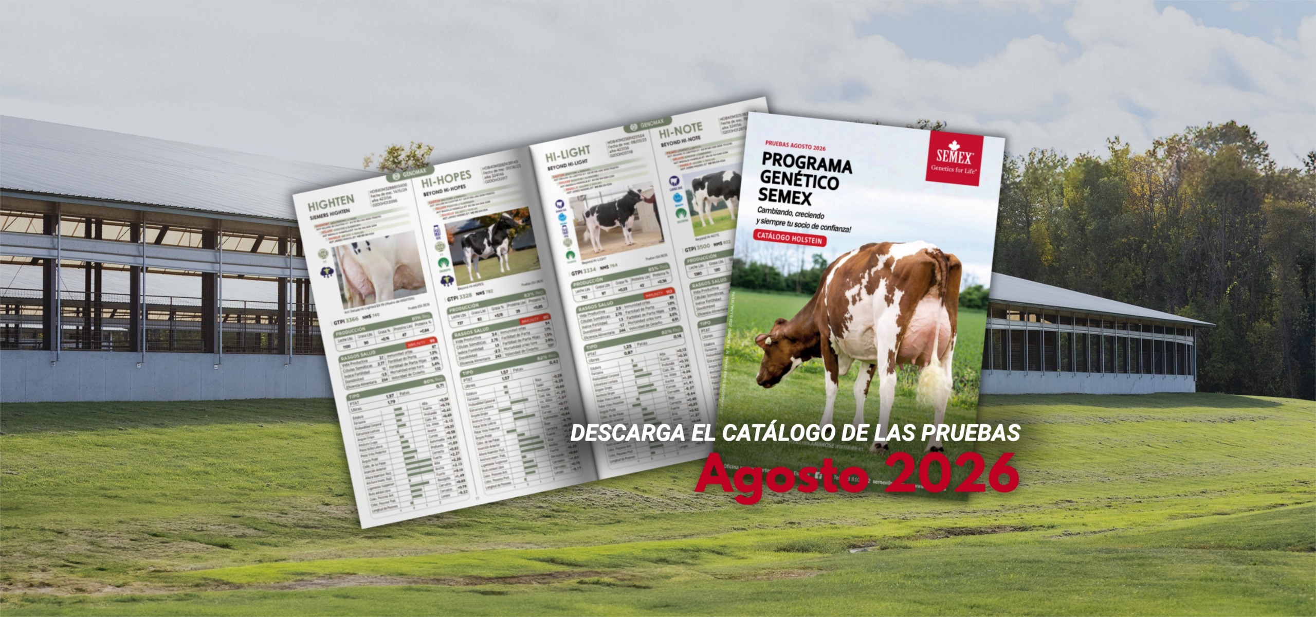banner-agosto2026.jpeg