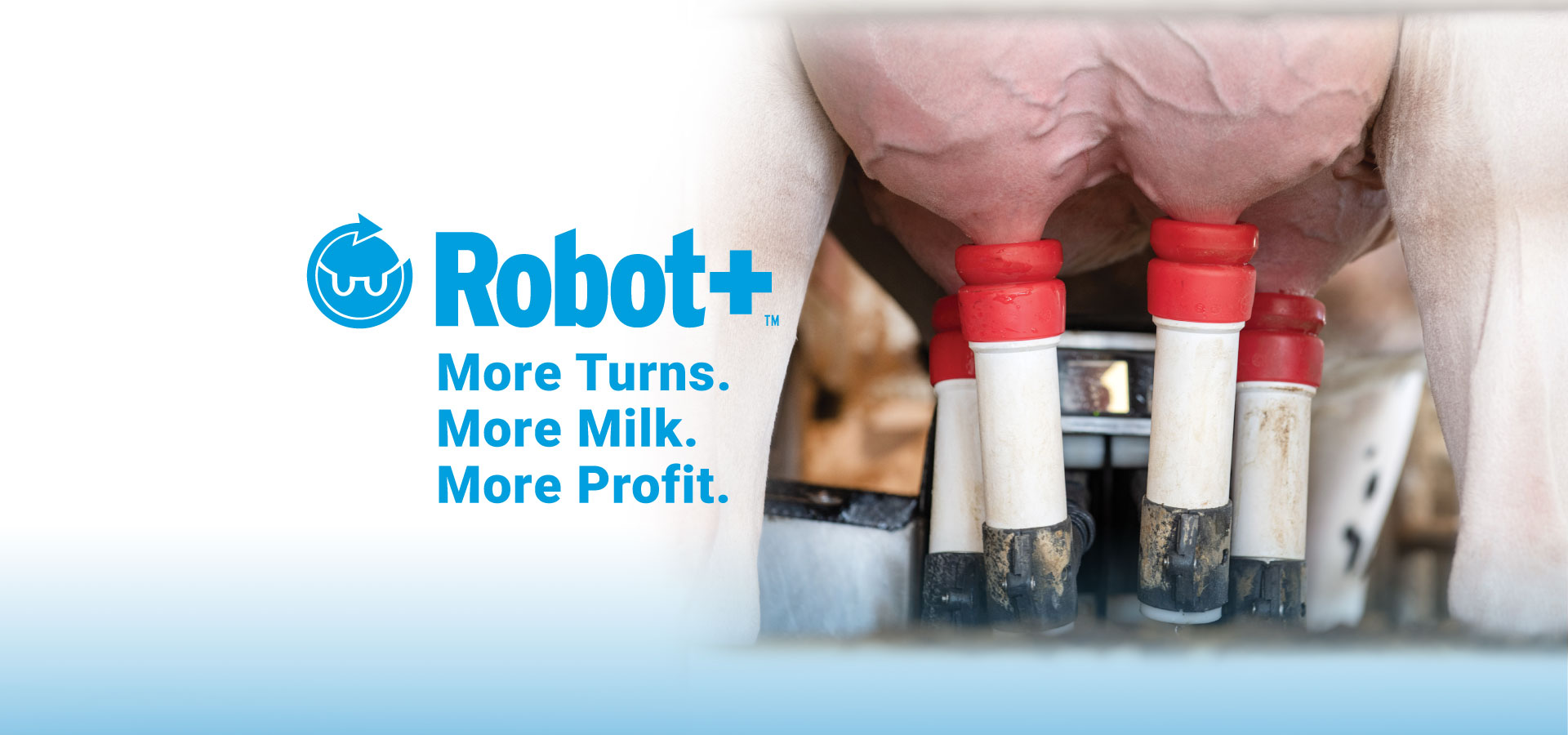 Robot+_webbannerENG.jpg