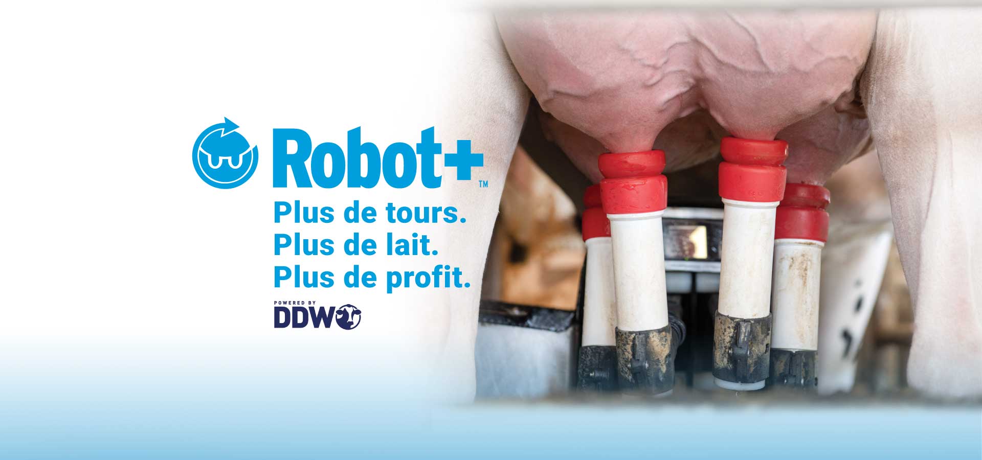 Robot+_webbannerFR.jpg