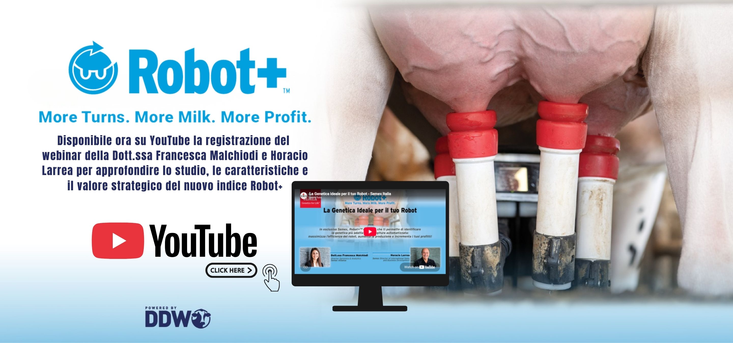 BANNERROBOT+(1).jpg