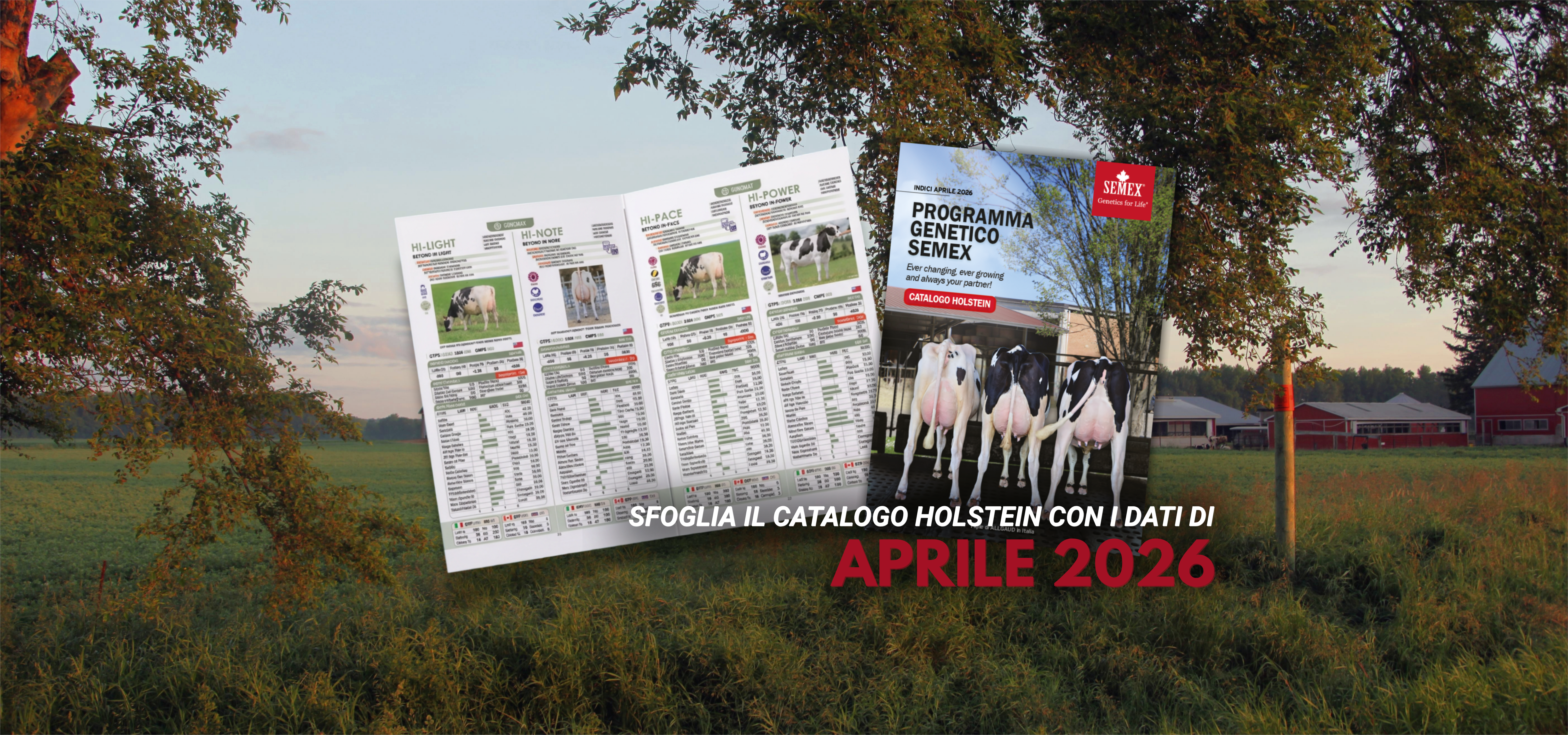 IlcatalogoHolsteinconidatidiAPRILE2022.png