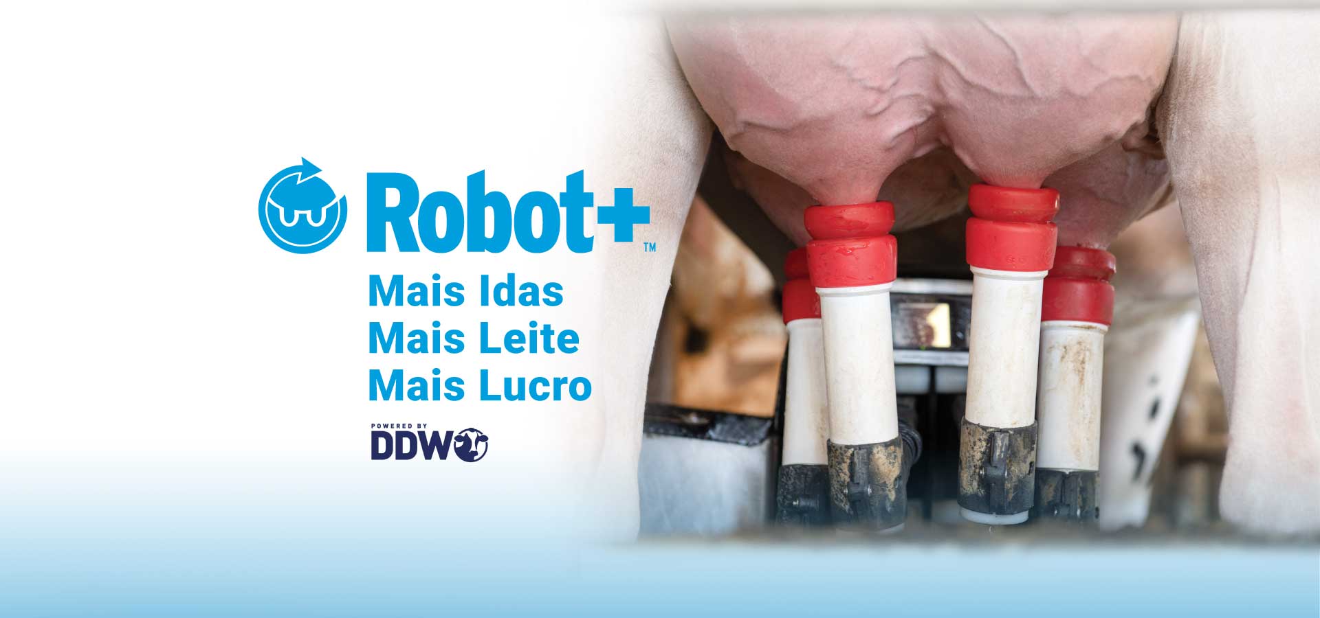 Robot+_webbannerPORT(002).jpg