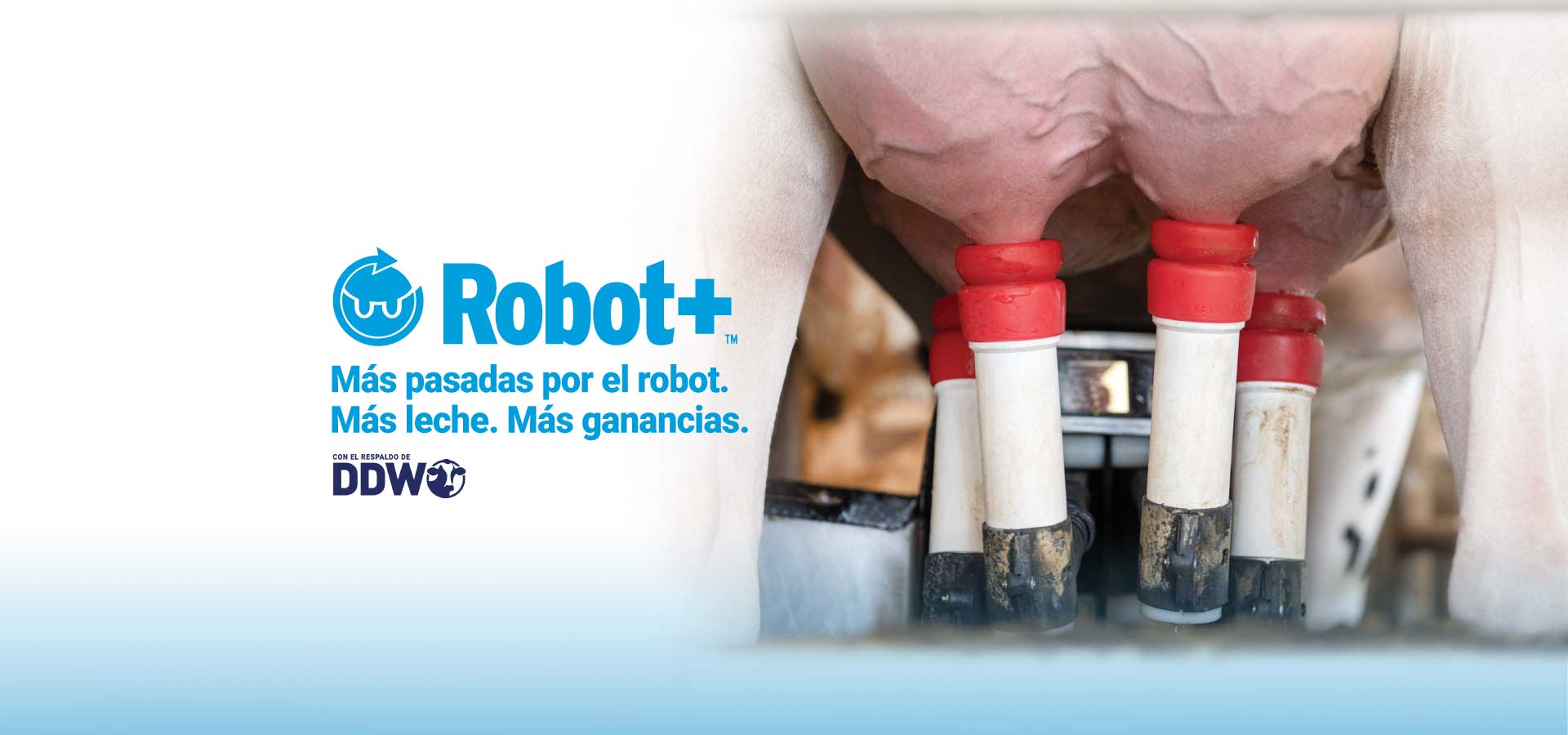 Robot+_webbannerSP.jpg