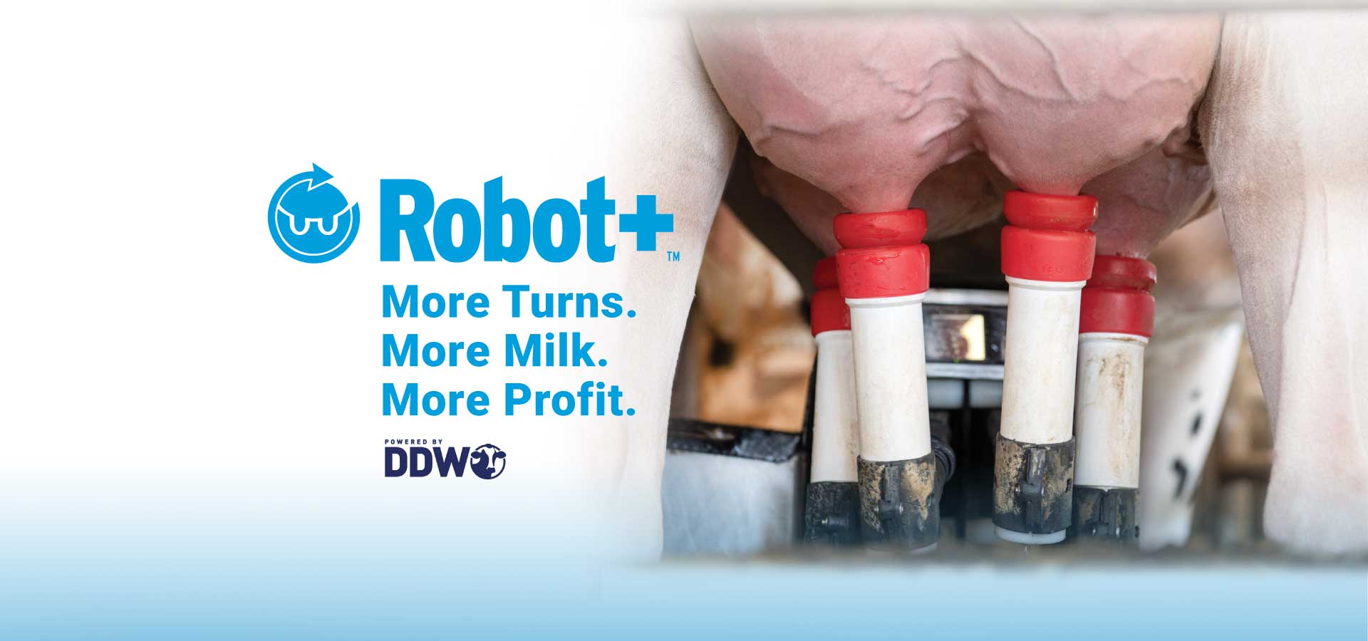 Robot+_webbannerENG.jpg
